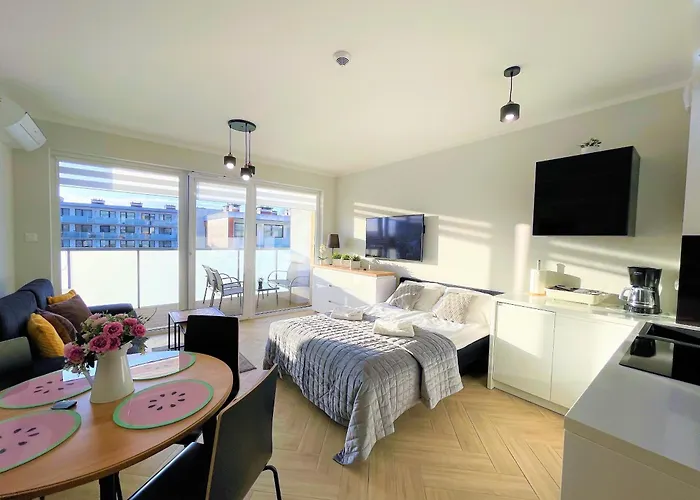 Baltic Style - Free Swimming Pool, Saunas & Fitness - Kasprowicza 20 * קולובז'ג